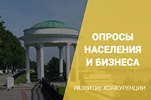 Опросы населения и бизнеса