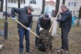 В Ярославской области в уборке территорий принимают участие тысячи человек